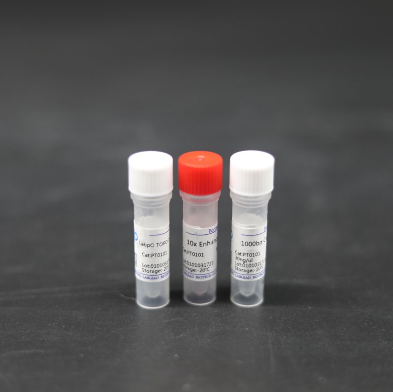 生物试剂选购指南：为科研添砖加瓦