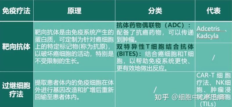 生物科技公司的创新之路：抓住未来风口